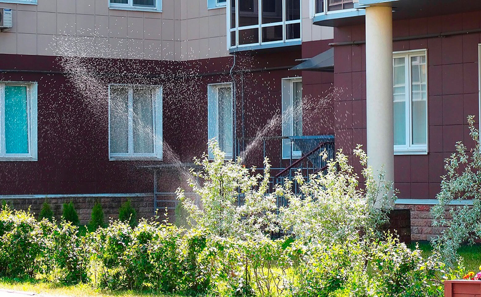 БФА в Озерках, Студия, 33 м² фото 2