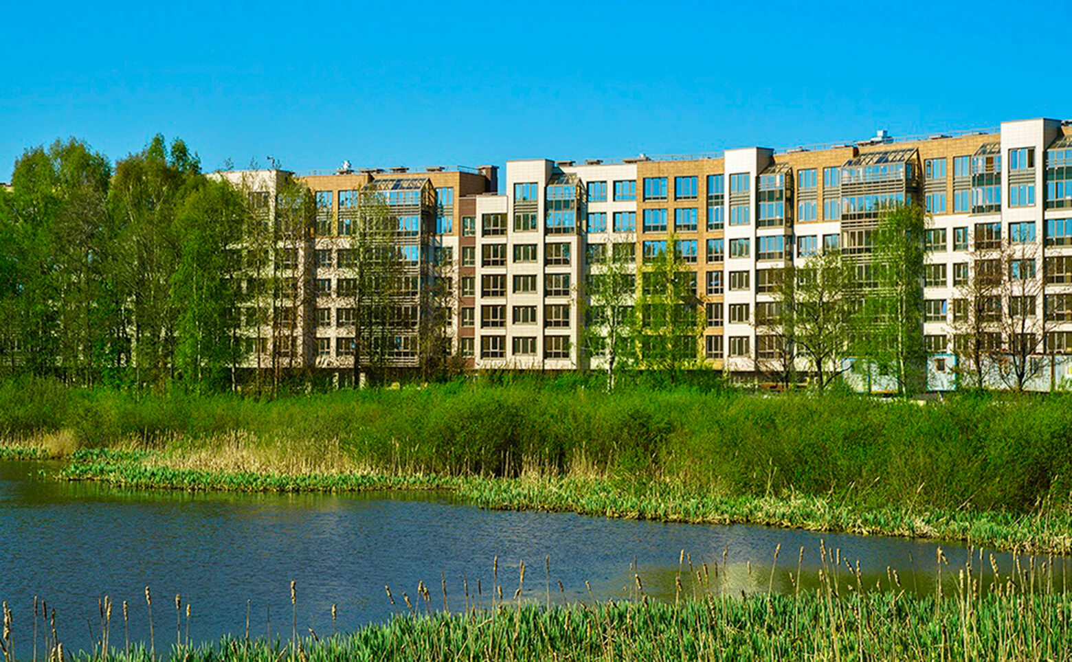 БФА в Озерках, Студия, 33 м² фото 4