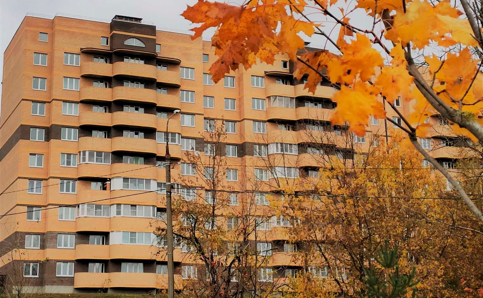 Майданово Парк, 2-комн., 52 м² фото 4