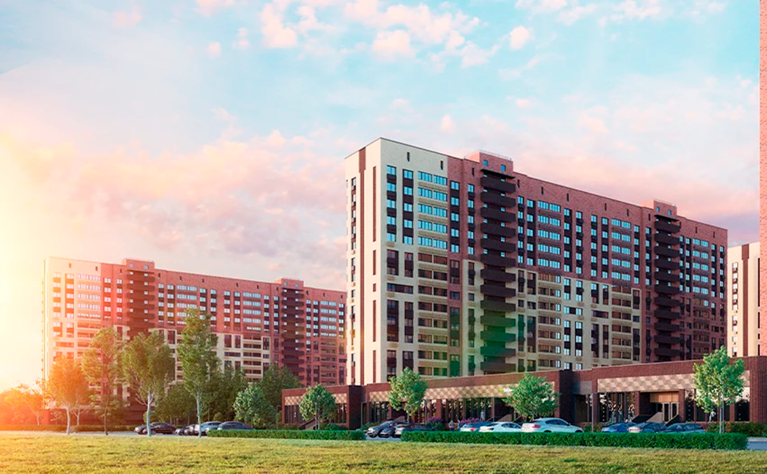 Смородина — фото 1