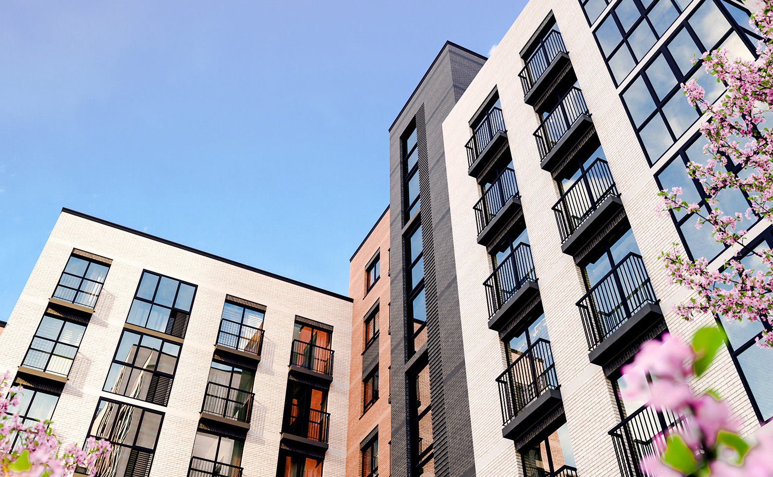 Расцветай на Красном — photo 1