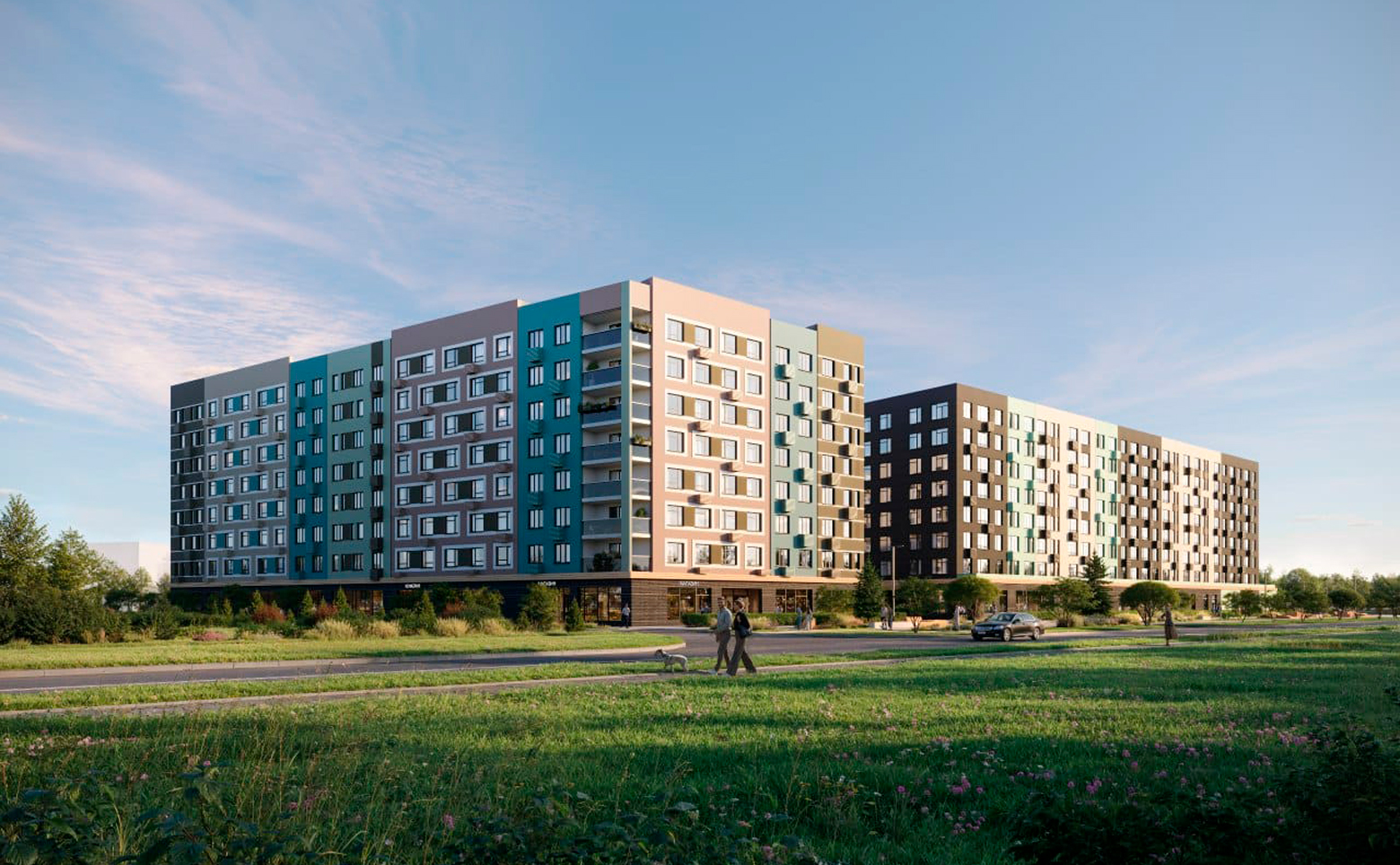 Базилик — photo 1