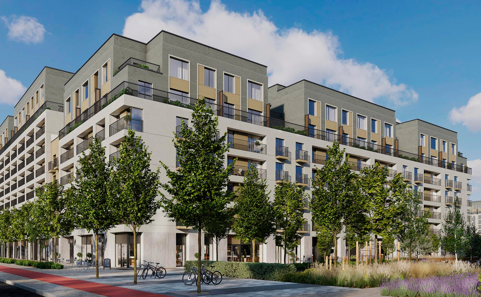 Брусника в Академическом — фото 1