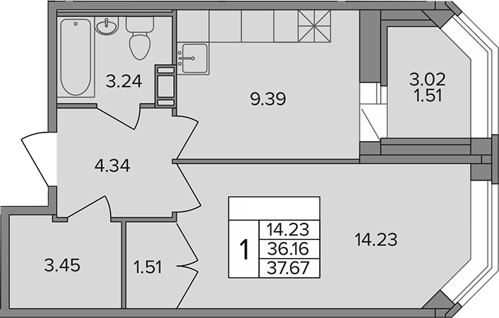 Планировка — Капральский, 1-комн., 36 м²