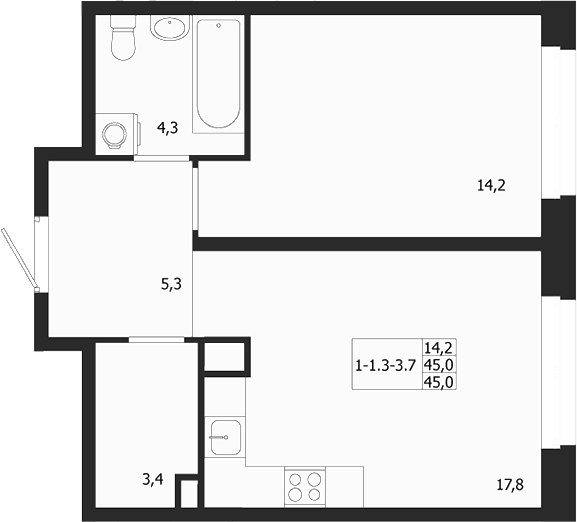 Планировка — ЛДМ, 1-комн., 45 м²
