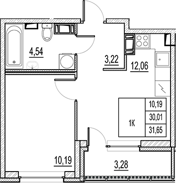 Планировка — Город-спутник Южный, 1-комн., 30 м²