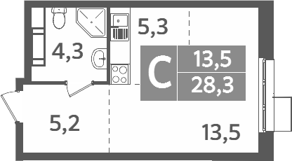 Планировка — Ново-Молоково, Студия, 28 м²