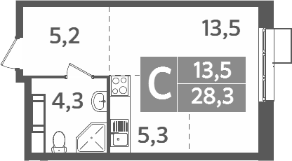 Планировка — Ново-Молоково, Студия, 28 м²