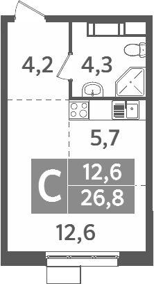 Планировка — Ново-Молоково, Студия, 27 м²