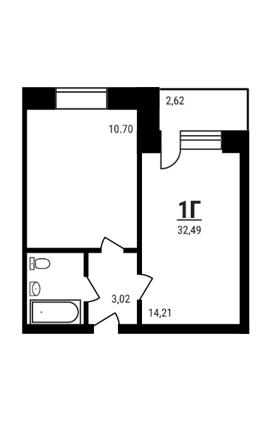 Планировка — Дружный, 1-комн., 31 м²