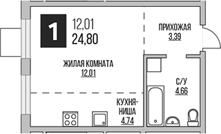 Планировка — Аникеевский, Студия, 25 м²