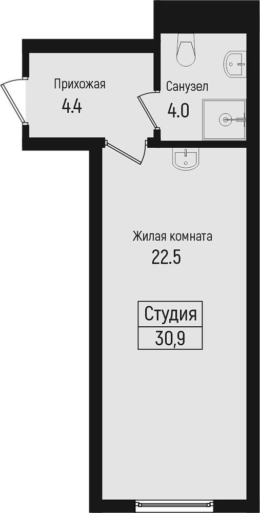 Планировка — Центральный, Студия, 31 м²