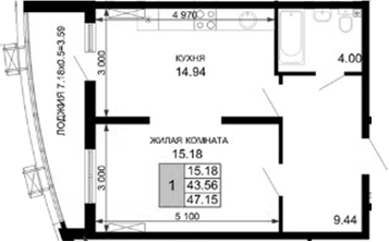 Планировка — Фонтаны, 1-комн., 44 м²