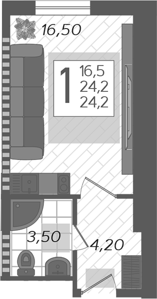 Планировка — Летний, Студия, 24 м²