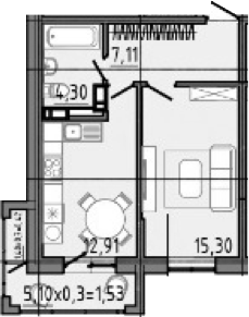 Планировка — Спутник, 1-комн., 46 м²
