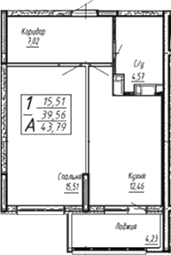 Планировка — Спутник, 1-комн., 43 м²
