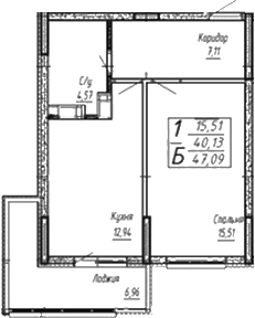 Планировка — Спутник, 1-комн., 43 м²