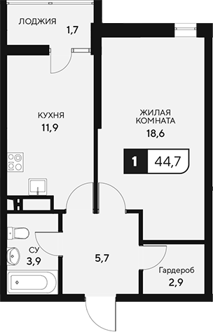 Планировка — 18/3, 1-комн., 43 м²