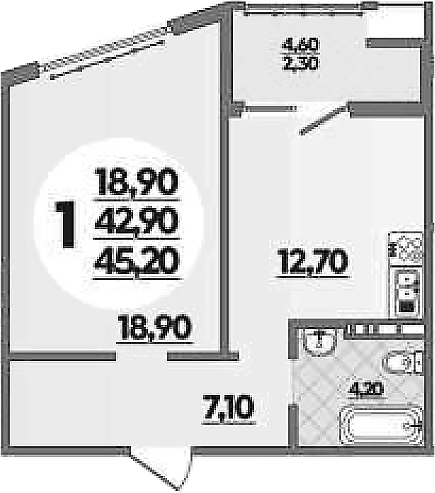 Планировка — Горгиппия, 1-комн., 43 м²