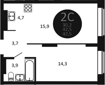 Планировка — Первый на Есенина, 2-комн., 43 м²