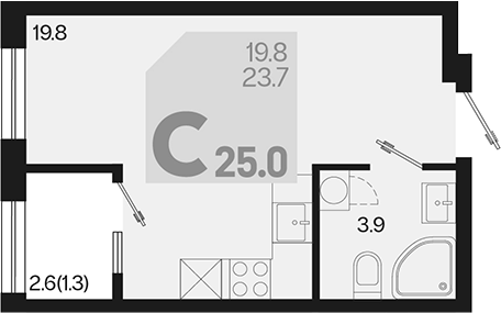 Планировка — Первое место, Студия, 24 м²
