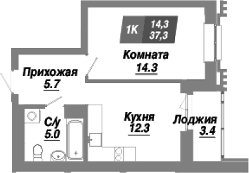 Планировка — Калининский квартал, 1-комн., 37 м²