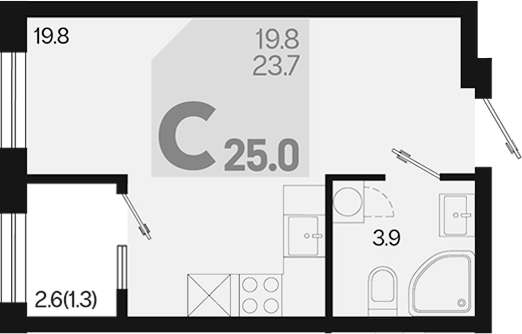 Планировка — Первое место, Студия, 24 м²