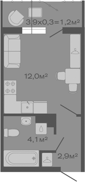 Планировка — Дзенпарк, Студия, 19 м²