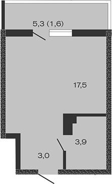 Планировка — Дзенпарк, Студия, 24 м²