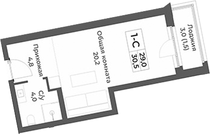 Планировка — RIZALTA RESORT BELOKURIKHA, Студия, 29 м²