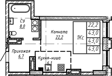 Планировка — Барнаул, 1-комн., 43 м²