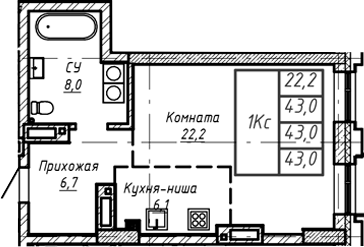 Планировка — Барнаул, 1-комн., 43 м²