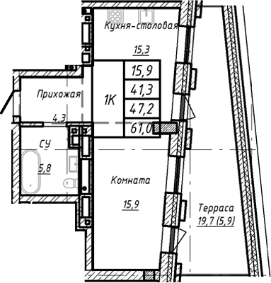 Планировка — Барнаул, 1-комн., 47 м²