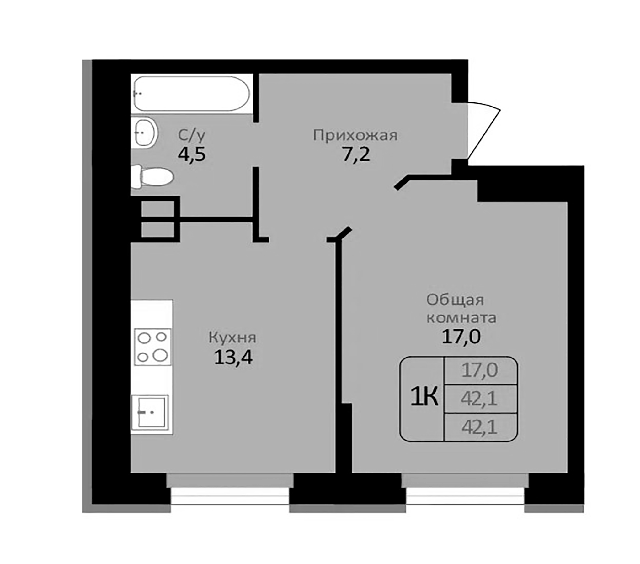 Планировка — Первомайский, 1-комн., 42 м²
