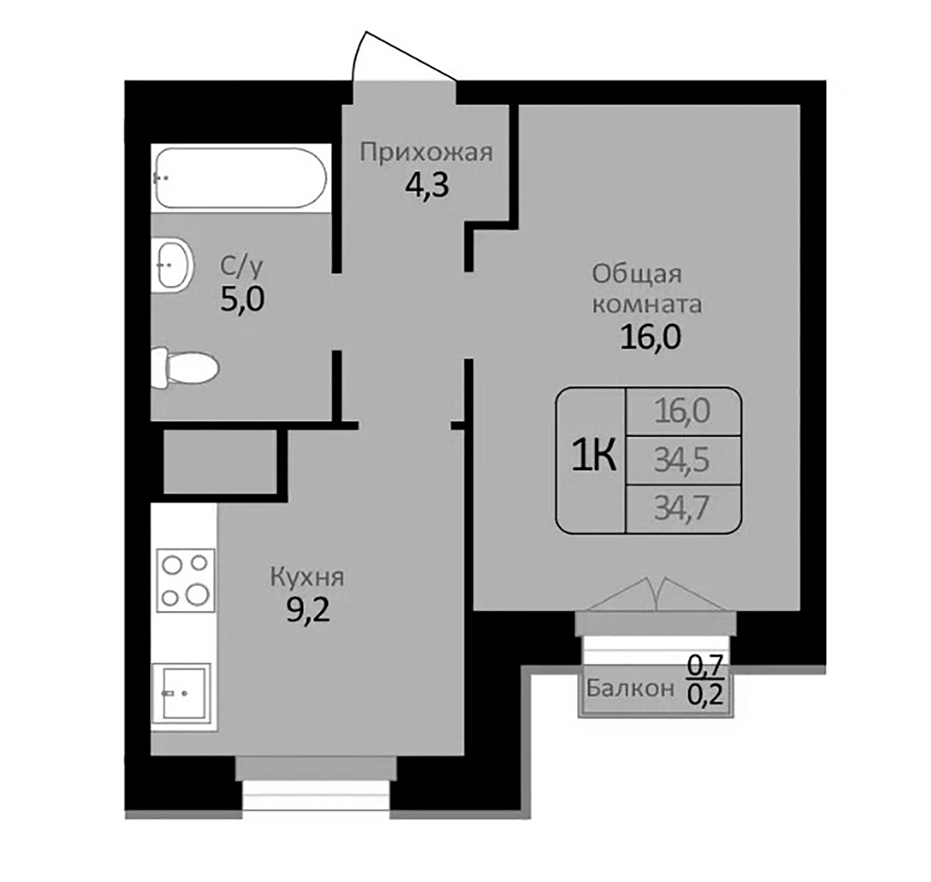 Планировка — Первомайский, 1-комн., 35 м²