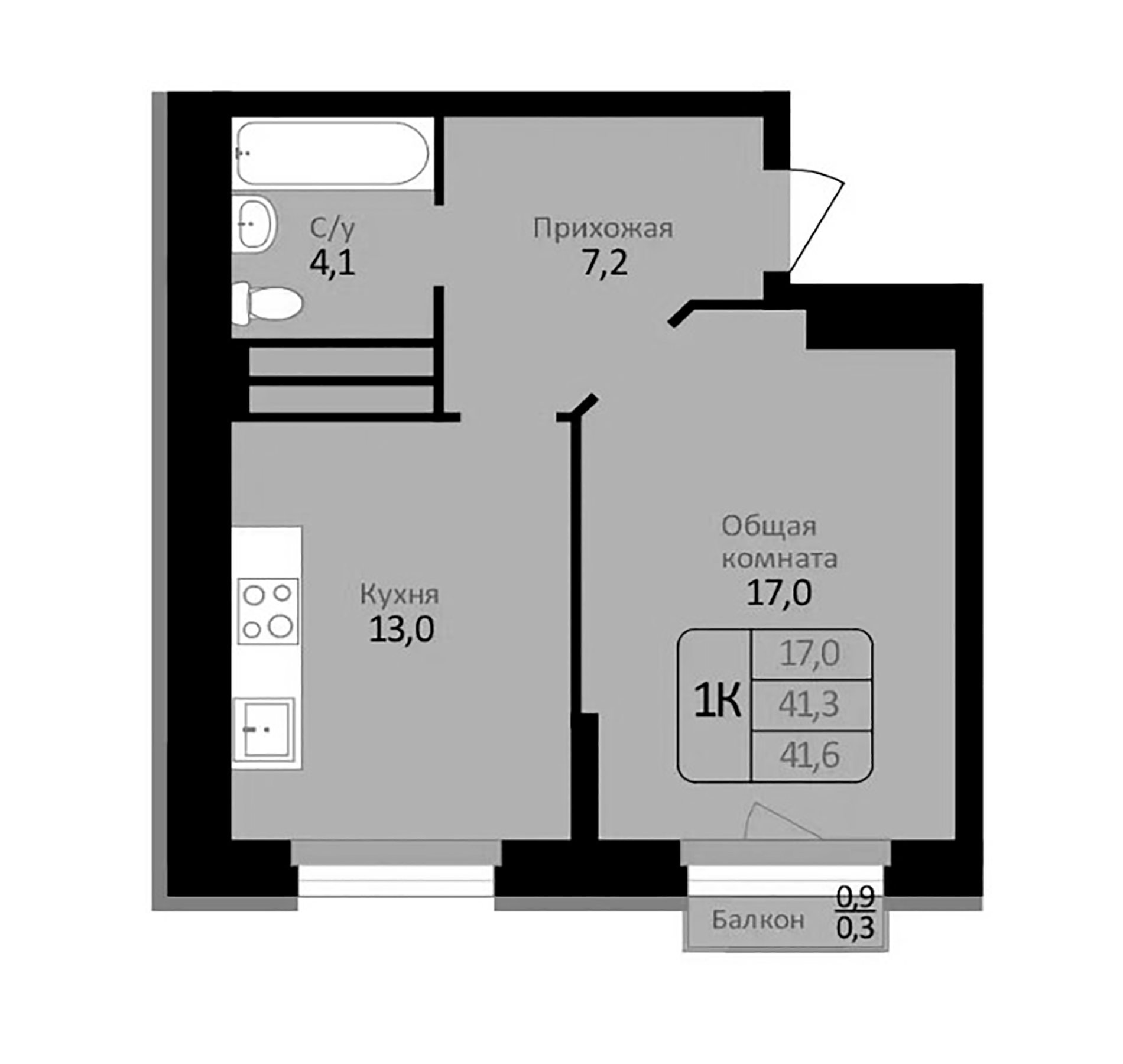 Планировка — Первомайский, 1-комн., 41 м²