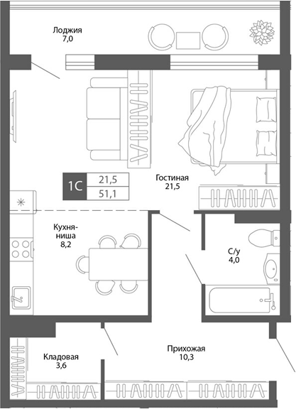 Планировка — Родина, Студия, 48 м²
