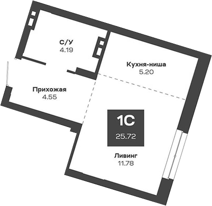 Планировка — Базилик, Студия, 26 м²