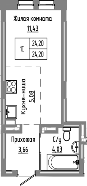 Планировка — Базилик, Студия, 24 м²