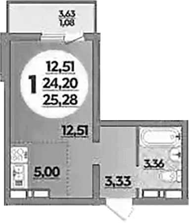Планировка — Платовский, Студия, 24 м²