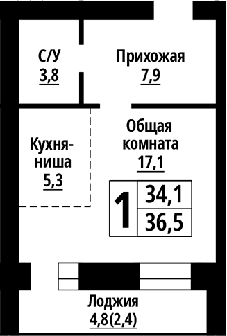 Планировка — Тургенев. Барнаул, Студия, 34 м²
