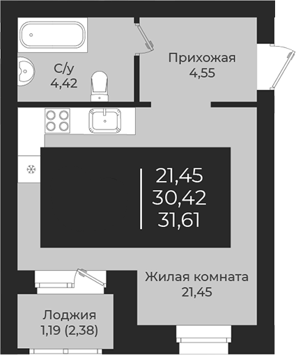 Планировка — Чехова, Студия, 30 м²