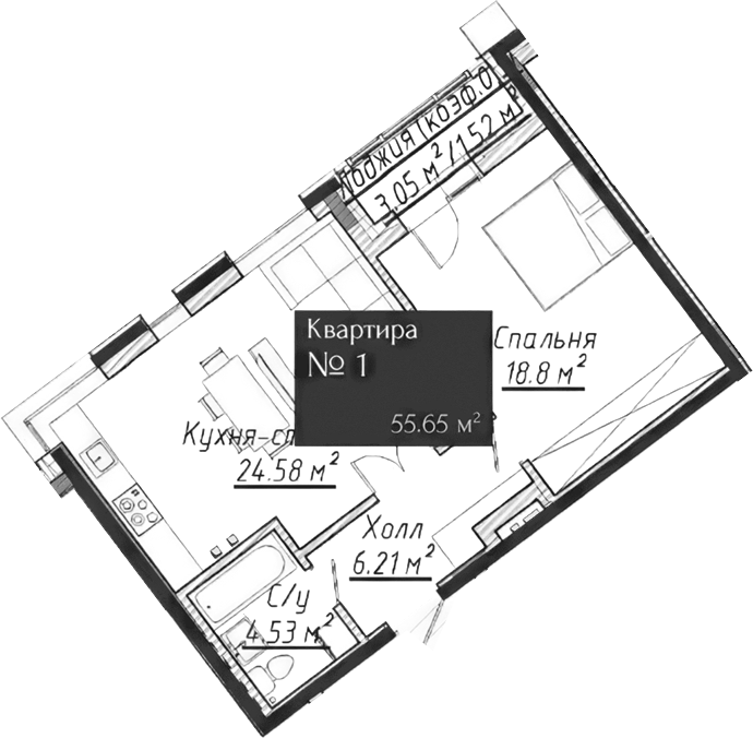 Планировка — Адмирал, 2-комн., 54 м²