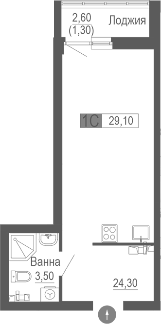 Планировка — Фристайл, Студия, 28 м²