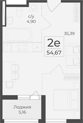 Планировка — Botanica, 1-комн., 50 м²