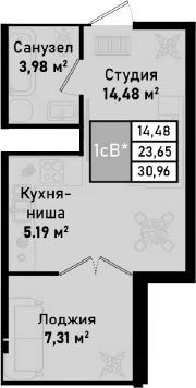 Планировка — Бухта Счастливая, Студия, 24 м²