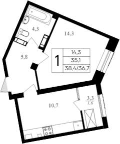 Планировка — Дом на Маячной, 1-комн., 35 м²