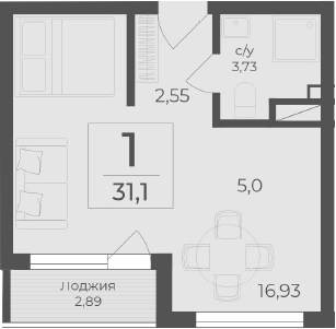Планировка — Чайка, Студия, 28 м²