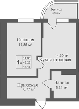 Планировка — Аллея Дружбы, 1-комн., 43 м²