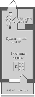 Планировка — Аллея Дружбы, Студия, 26 м²
